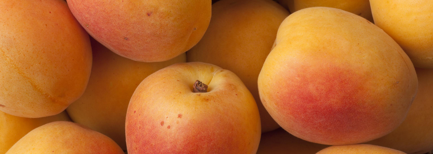 Apricot Foods and Wines from Spain